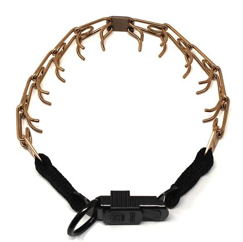 herm sprenger training dog collar.